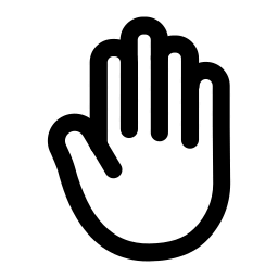 Icon 1